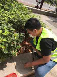 广东灭鼠防治服务推荐：东莞专业灭老鼠年度承包及应急消杀机构精选