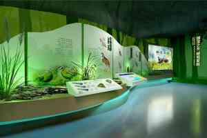 天津、北京、河北、新疆等地展厅展馆设计服务优质之选深度剖析