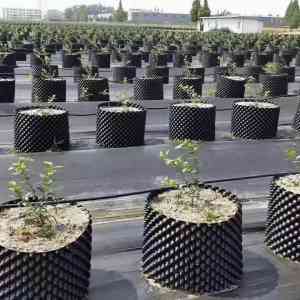 绿化/植树专用控根器及槟榔树护根器厂家推荐:PVC控根器源头供货企业精选