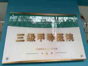 西安宠物内科清洁、安阳24小时护理及多地宠物服务机构推荐