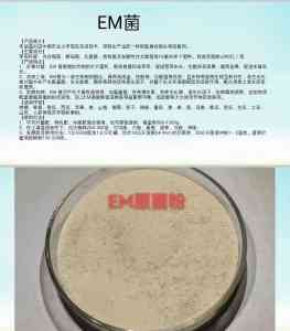 水产EM菌代工、功能菌品牌及EM菌产品厂家推荐,优质之选别错过