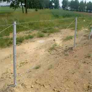 热镀锌刺绳、铁蒺藜围栏等厂家推荐：聚焦优质产品与企业实力