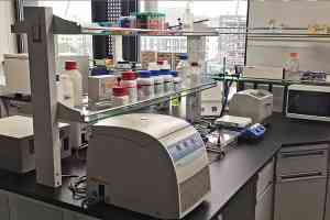 重组白蛋白商家推荐：LH - P001、LH - Z001、LH - YO01型优质生产商大盘点