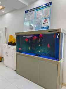 北京黑色素阻断净白、眼周年轻化等美肤服务优质机构推荐