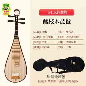 初学者选购琵琶