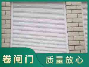 武汉车库、电动、防火、遥控卷闸门优质服务商推荐：小东门、白沙洲等地优选之选