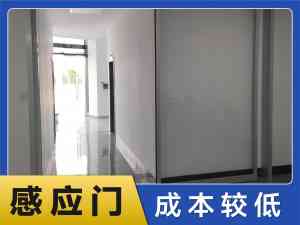 舵落口、小东门、汉口北、白沙洲等地感应门批发定制及维护服务推荐