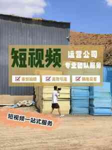 开封、焦作、郑州、洛阳等地GEO推广代运营及获客服务优质商推荐