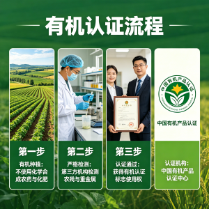 淮南/安徽/芜湖/合肥/蚌埠有机认证代办服务优质之选深度解析