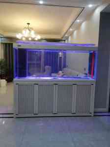 优质客厅铝合金鱼缸品牌及供货商推荐：小型、海水鱼缸及上门安装加工厂精选