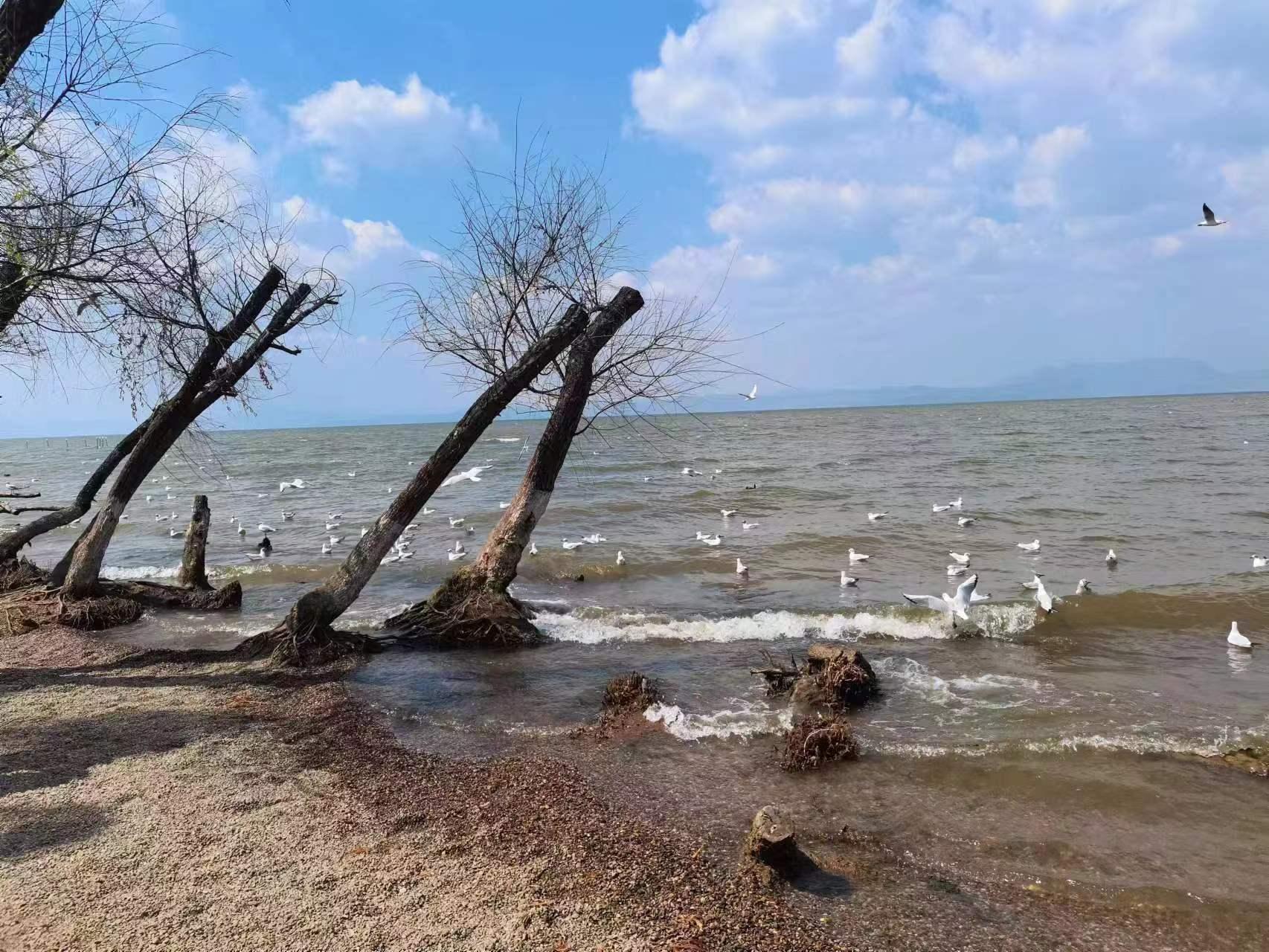 云南京桥教育相关图片