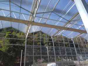 青州市广源温室工程有限公司：连栋温室、荷兰温室等多种温室定制专家