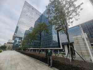 广州景采园林绿化工程有限公司：专业的广州花木租赁及绿植养护服务商