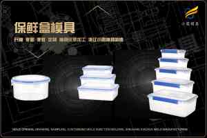 学生饭盒与保鲜盒塑料模具精选：台州市黄岩小霞模具有限公司，专注模具制造与方案设计