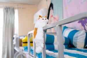 江苏新东方烹饪技术学校：南京西点、连云港中餐等多类型餐饮培训优质之选