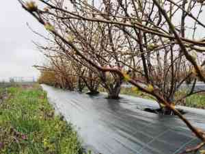 2026年防草布厂家最新推荐：聚焦山东环农生态科技有限公司专利技术、品质管控及客户合作案例解析