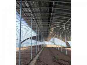 智能温室大棚企业推荐：聚焦沃恩特等厂家，适配多样农业场景