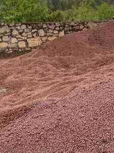 2026年盛陶新型建材有限公司：页岩陶粒、水处理陶粒等陶粒产品深度解析