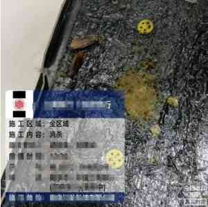 无锡养老院、徐州仓储、南京食品厂等多地消杀服务优质机构推荐