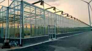 玻璃温室大棚厂家推荐：连栋玻璃温室批发、智能温室制造优质之选