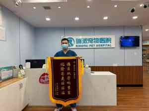 广东优质宠物眼科、内科、绝育及外科品牌，深圳24小时宠物医院品牌推荐