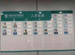 广东宠物内科、眼科及深圳宠物多专科优质品牌推荐，聚焦特色服务！