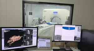 深圳及广东宠物医疗品牌推荐：24小时医院、绝育、眼科、内科、外科全涵盖