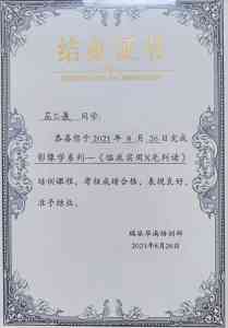 深圳与广东宠物医疗品牌推荐：外科、内科、手术、体检及24小时医院全涵盖