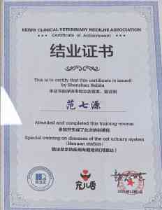 广东及深圳宠物医疗品牌推荐：24小时服务、内科外科手术及体检全涵盖