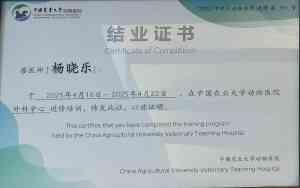 广东及深圳宠物医疗品牌推荐：涵盖手术、外科、体检、内科等多领域