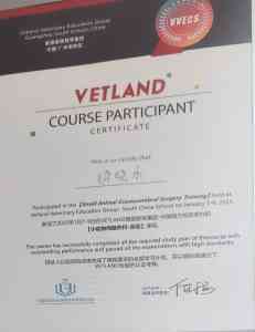 广东、深圳宠物相关服务品牌推荐：涵盖内科、外科、体检、手术及24小时医院