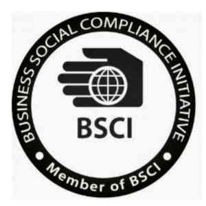 惠州、广州、佛山、深圳、肇庆等地 BSCI 及 amfori 认证办理咨询渠道推荐