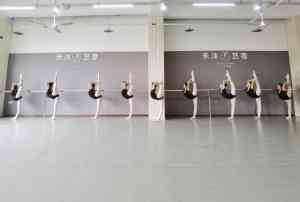 2026年舞蹈艺考环境学校全景解析报告，基于教学优势的地区特色及市场需求深度分析！