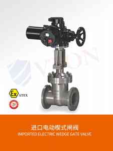 VTON进口调节阀优质厂家推荐：聚焦深圳名阀进出口贸易有限公司实力解析