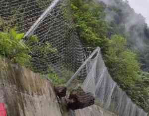 蜘蛛边坡防护网、钢丝环形网等厂家推荐：聚焦优质产品与专业服务