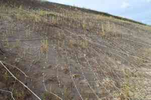 优质主动防护网供应商推荐：GPS2、防腐、隧道口、菱形防护网厂家集合