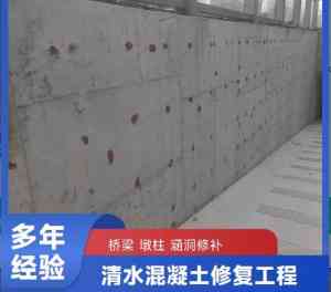 西藏清水混凝土方案及多地修复施工服务：优质解决方案推荐