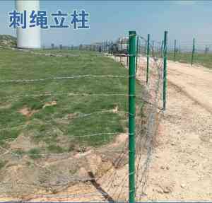 高速公路刺铁丝网、隔离栅等防护设施厂家推荐：优质产品保障道路安全