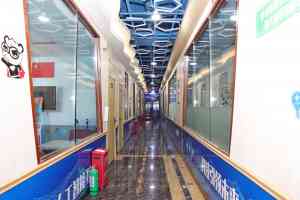 新疆机器人编程与等级考试培训推荐：六环螺旋式教学机构