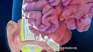 浙江、福建、山东、江西、安徽三维动画及宣传片服务优质之选深度解析