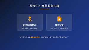 TIKTOK拉美、美国、德国及全球公会商家推荐，厂家揭秘