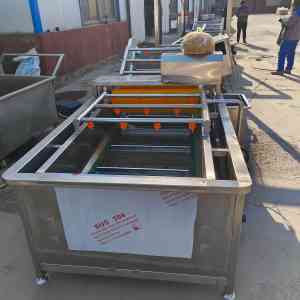 生鲜清洗机、水果清洗机等厂家推荐：聚焦厂家实力解析