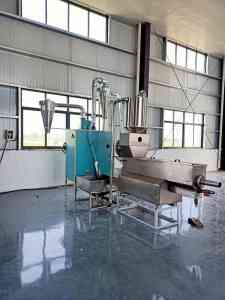 专业定制！生芝麻去杂机、洗芝麻机器等芝麻加工设备实力厂家推荐