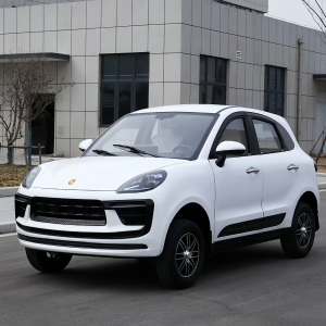 2026年老头乐四轮车、电动四轮车、老年代步车等低速电动车推荐：济宁莱易机械设备有限公司