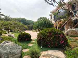 鄢陵县金地园艺场：适配多样景观需求，油松/小叶女贞/黑松/海棠造型树全品类供应商