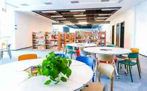 多维度解析：厦门央美恒一、福建美术等中学，为学子升学助力！