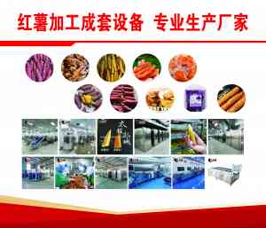 红薯加工设备定制厂家推荐:地瓜干烘干机、包装机等优质厂家精选
