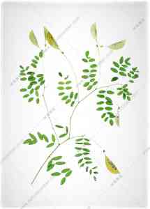 中医药展览馆、多媒体软件及博物馆厂家推荐：聚焦实力企业