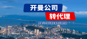广东多地开曼群岛公司注册服务机构推荐:聚焦专业服务与优势解析