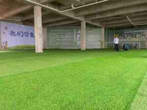 重庆宠物训练服务大揭秘：过度吠叫、拆家矫正及寄养训练营推荐